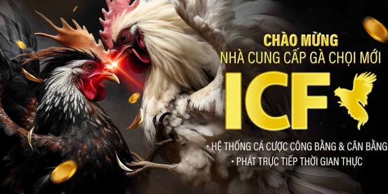 ICF cung cấp quy định thi đấu rất quan trọng cho Win55